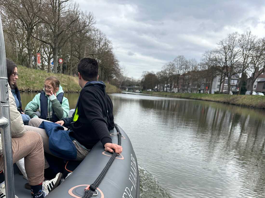 Alpha-mus motorboot